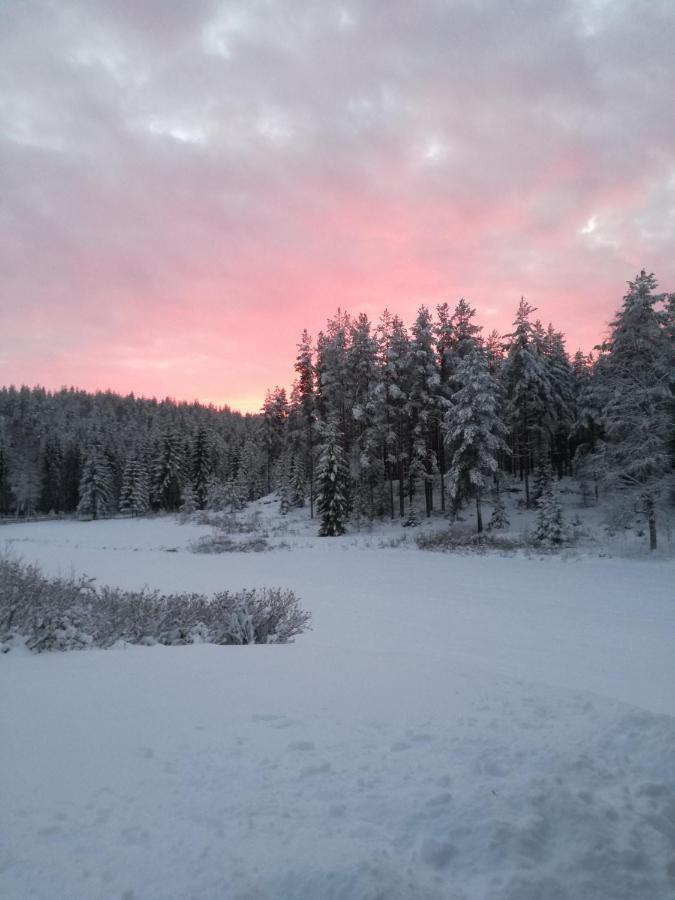 Presterudveien 125 Vikersund Екстер'єр фото