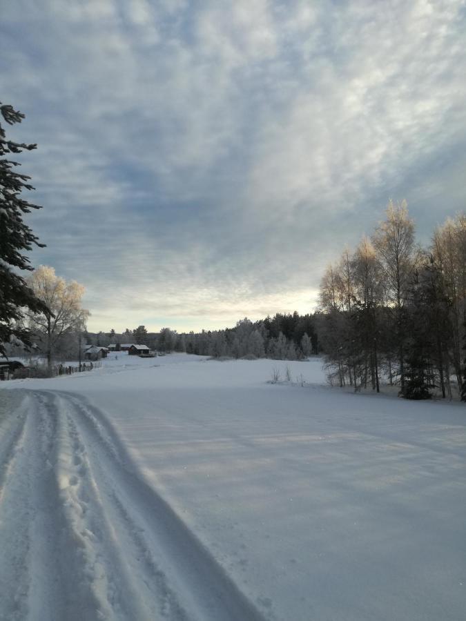 Presterudveien 125 Vikersund Екстер'єр фото