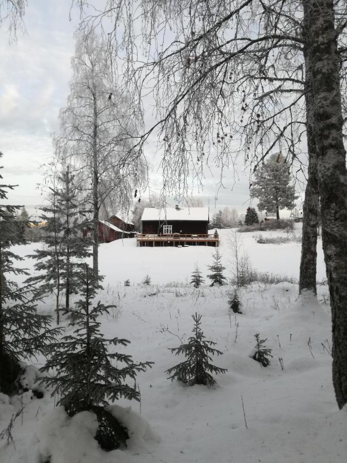 Presterudveien 125 Vikersund Екстер'єр фото