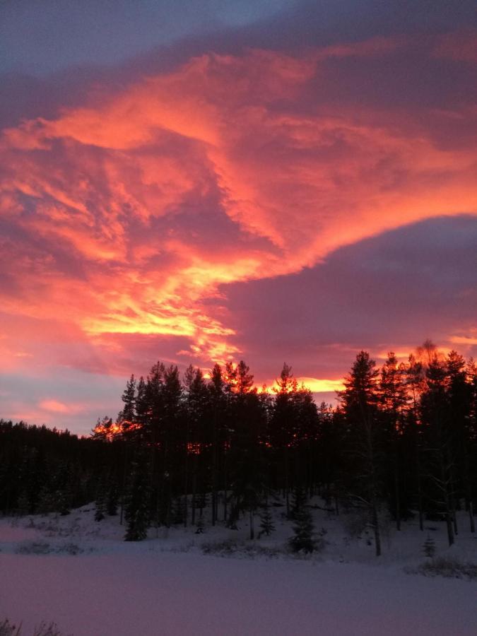 Presterudveien 125 Vikersund Екстер'єр фото