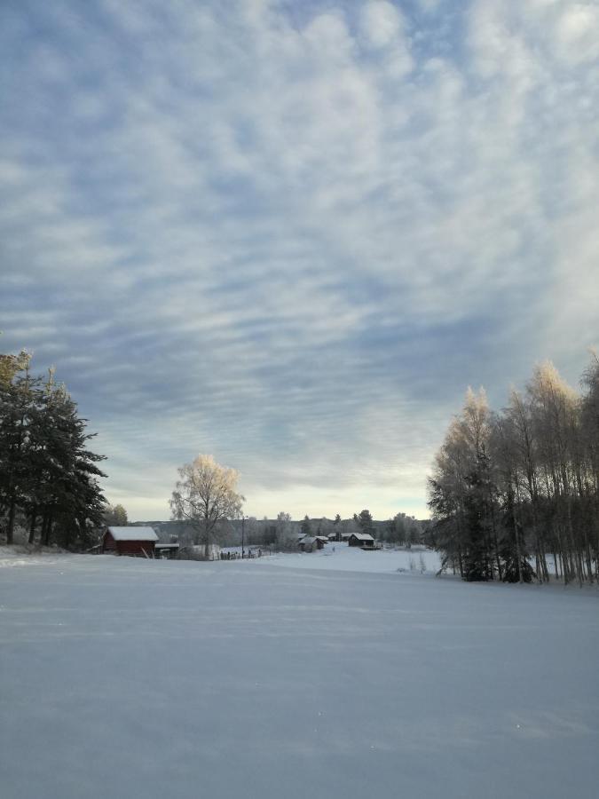 Presterudveien 125 Vikersund Екстер'єр фото
